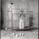 Illustration for article titled Can we talk about Emma Watsons Vanity Fair photos?